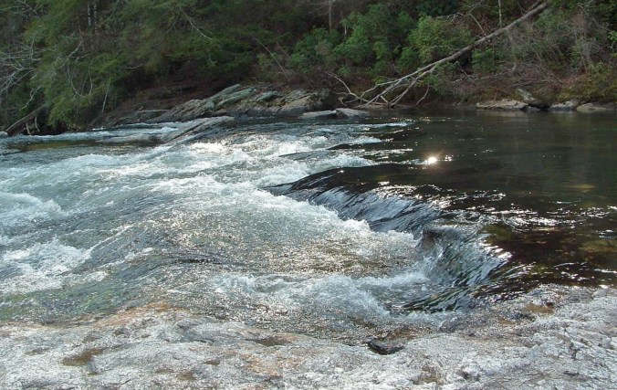 Woodall Shoals Hydraulic, Detail