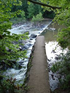 Where Spirits Float Among Treetops