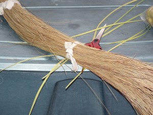 Sweetgrass sheathe ... the hard-to-find grass