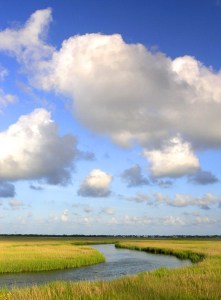 blurred sky and marsh