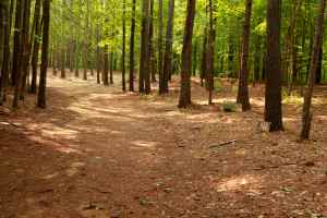 Back straightway going into turn 3