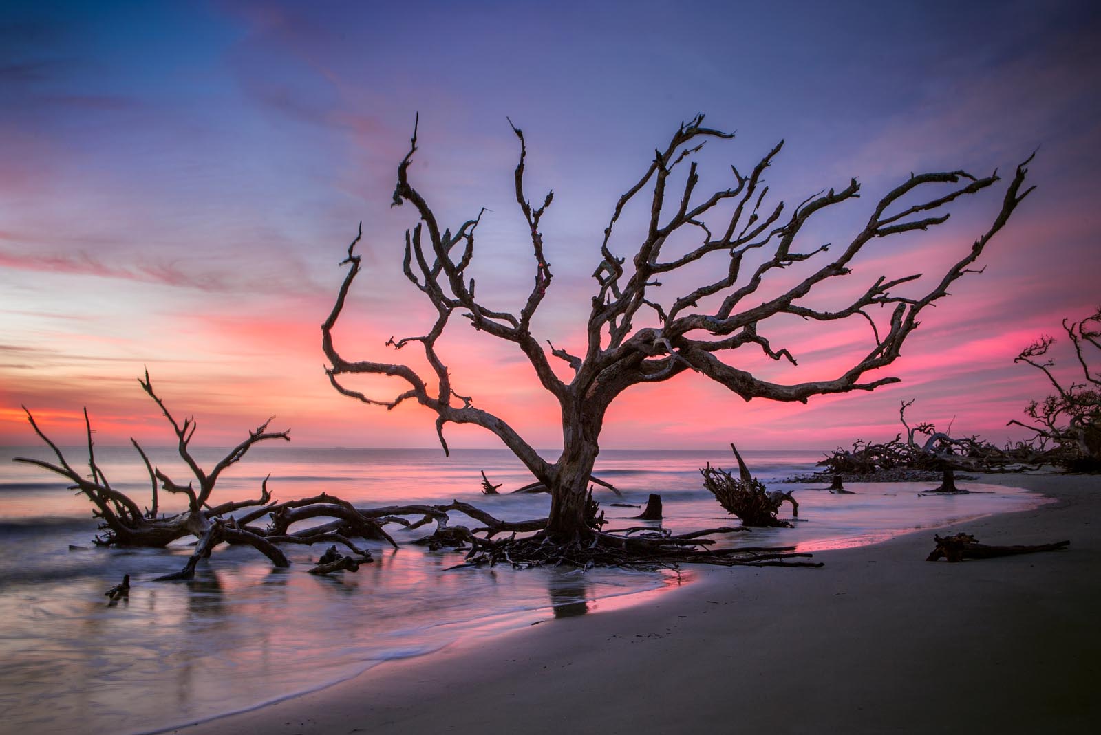 boneyard beach on Jekyll
