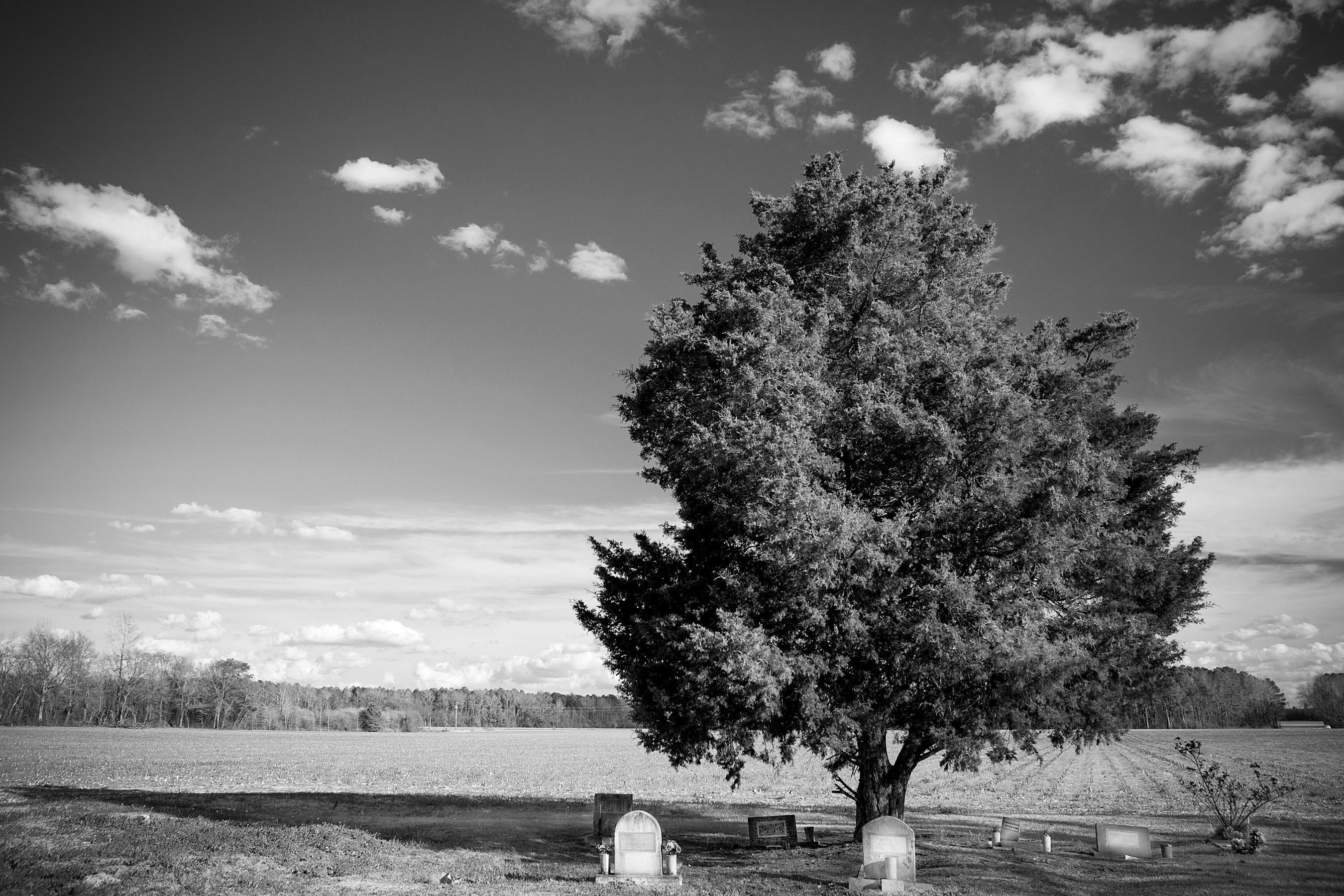Ebenezer Cemetary In Clio copy