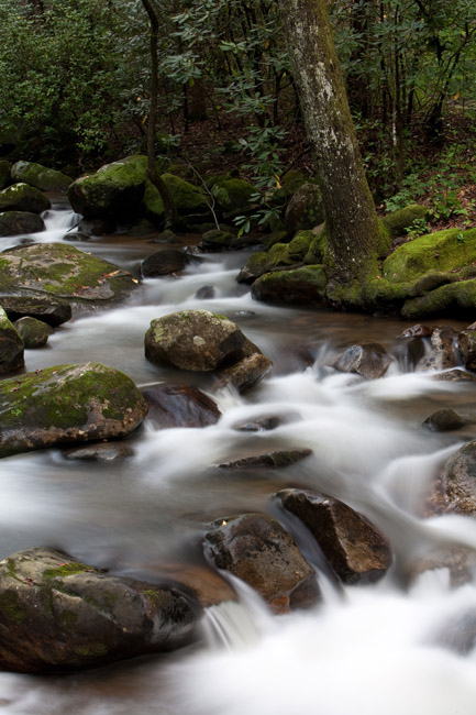 Middle Saluda River copy