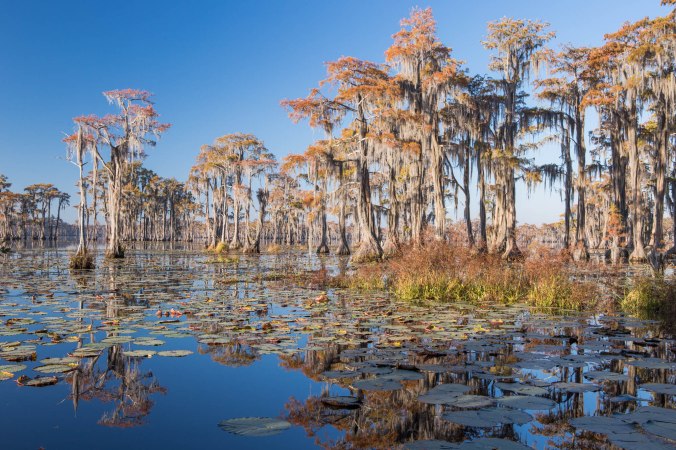 Banks Lake Lakeland Georgia
