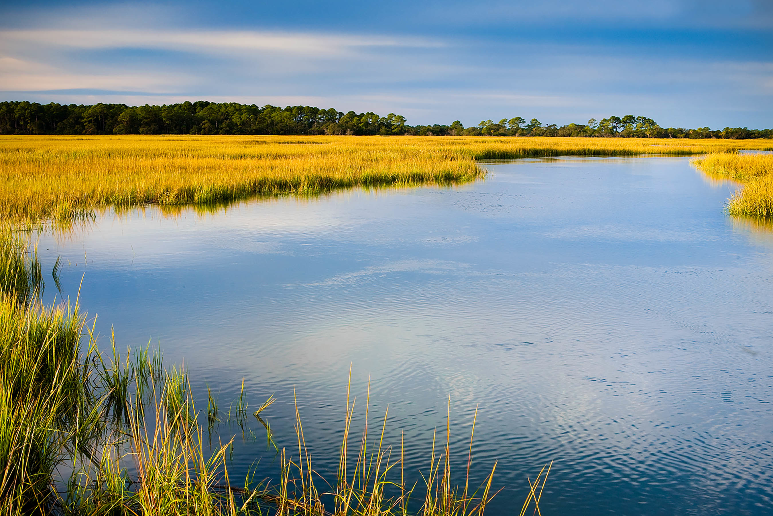 October 22nd image Marsh