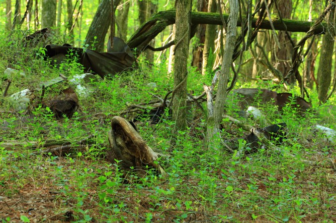 Squatters Debris Trail 2