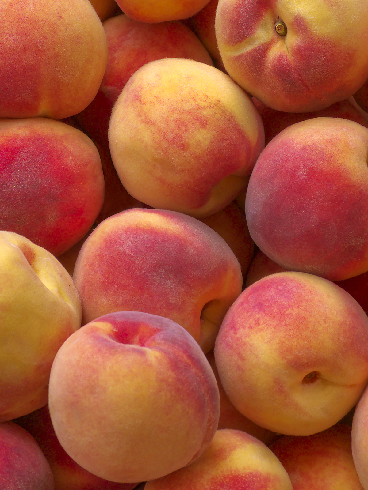Sept9th peaches